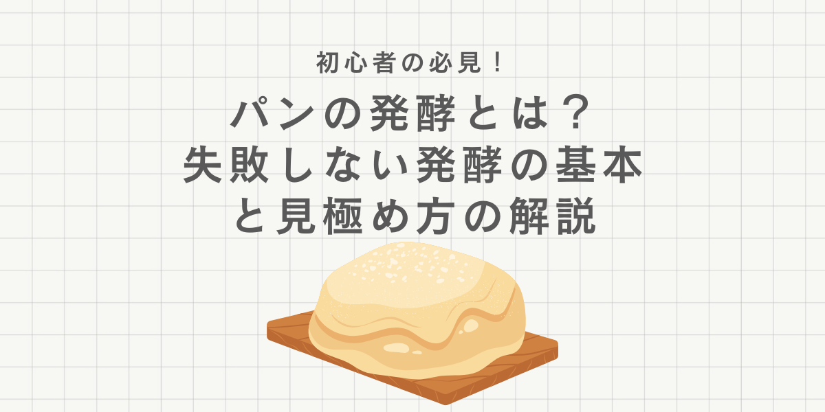 パンの発酵とは？初心者でも失敗しない発酵の基本と見極め方の解説