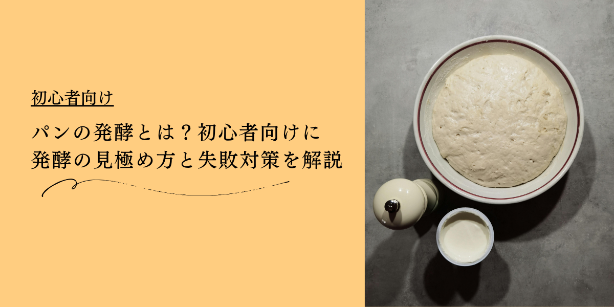 パンの発酵とは？初心者向けに発酵の見極め方と失敗対策を解説
