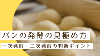 パンの発酵の見極め方｜一次発酵・二次発酵の判断ポイント