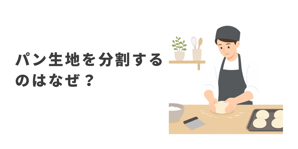 パン生地を分割しているイメージ図とパン生地を分割する理由を説明します。
